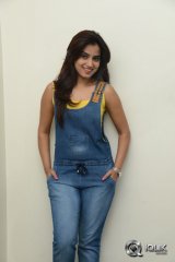 Dimple Chopade at Krishnastami Movie Success Meet